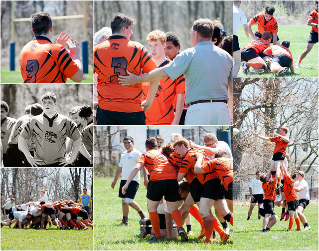 Cole Rugby