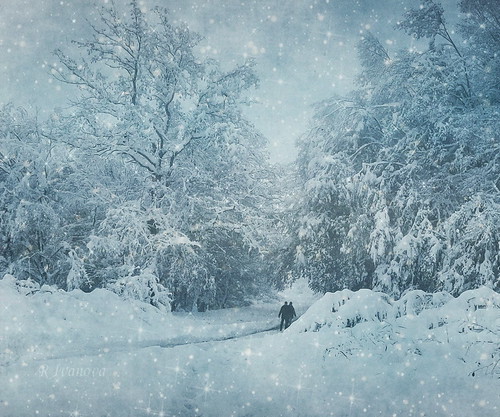 blue winter white mountain snow tree nature monochrome landscape bulgaria textured природа пейзаж зима българия габрово rivanova риванова