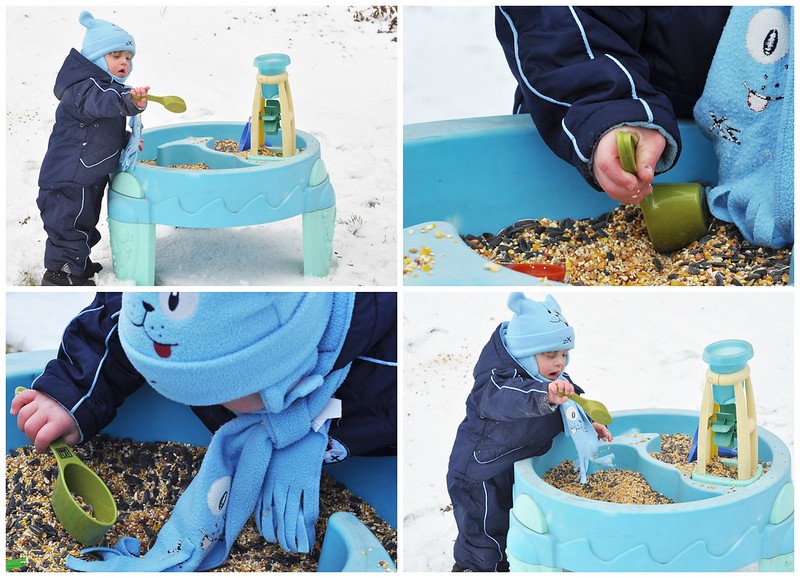 Seeds & Scoops Sensory Table Play