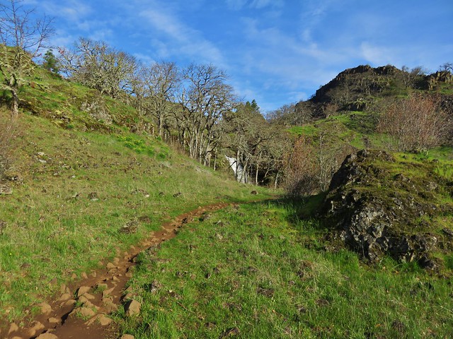Labyrinth Trail