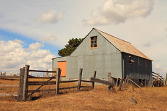 The Milking Shed