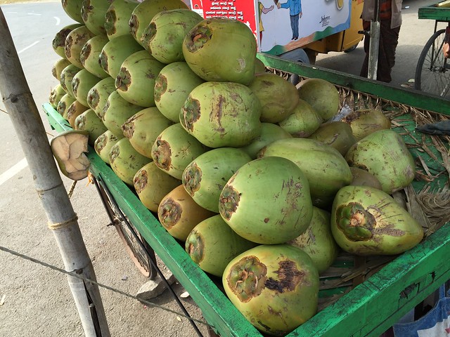 Street coconut stand