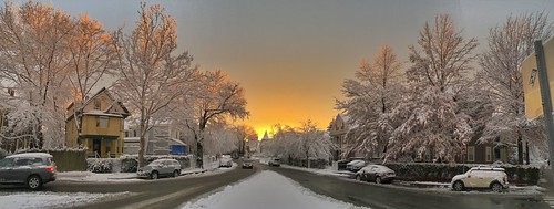 street trees winter panorama snow ice boston golden frozen massachusetts newengland neighborhood somerville pw winterstormlexi