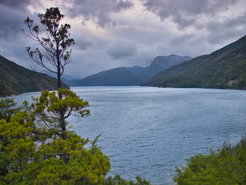 Cambio de planes: Nos vamos del PN Los Alerces al PN Lago Puelo - Por la Patagonia ARGENTINA (1)