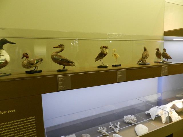 Zaragoza Natural History Museum