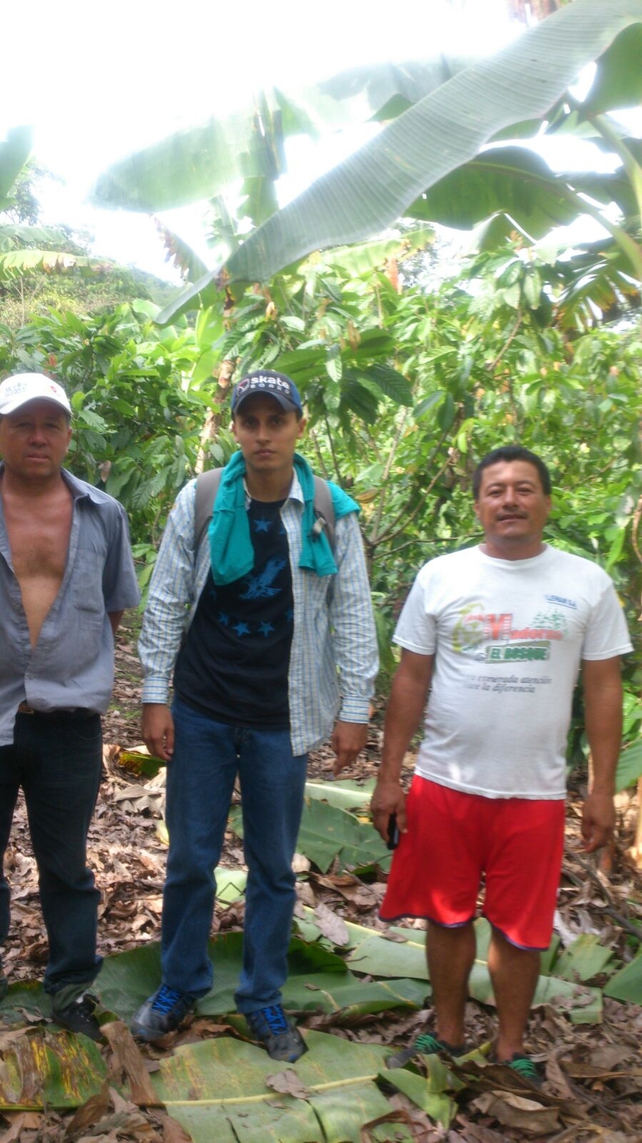Legalizacin de tierras en San Juan del Ba de la parroquia Chibunga