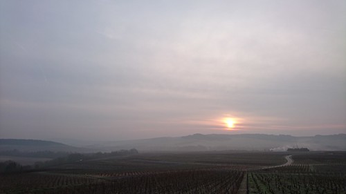 sunrise landscape vineyard champagne naturephotography xperiaz5