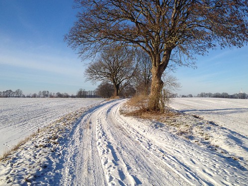 winter white nature field way landscape natur feld sunny sonnig landschaft 4s weg plau iphone weis abigfave
