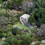 Ikaria's remotest hinterland 10 - traditional, fenced and protected
