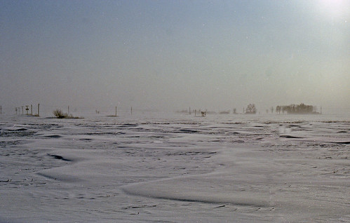 winter snow illinois winterphotography mattoonillinois snowcoveredfields