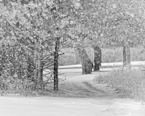 winter white black minnesota photo snowstorm snowfall blizzard freshsnow snowstorms buffaloriver d810 walkinthesnow sparklingsnow nikoncapturenx2 nikongp1 nikkor28300mmf3556gvr freshsnowshowering