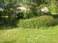 Garten von Nadine in Montfaucon-Montigné