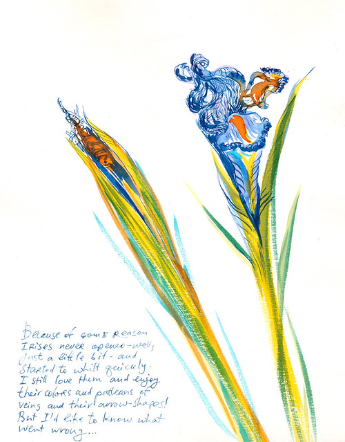 Sketchbook #94: Irises
