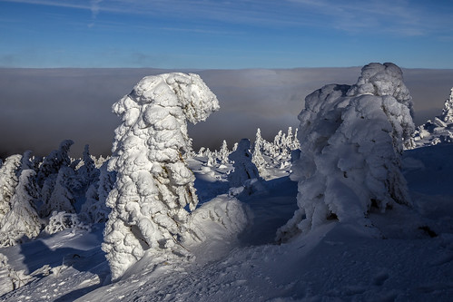 brocken nebel clouds harz wolken hill weather cold wind storm view germany traveling snow bäume trees ice jhuettel