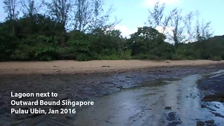 Lagoon next to Outward Bound Singapore (OBS), Pulau Ubin