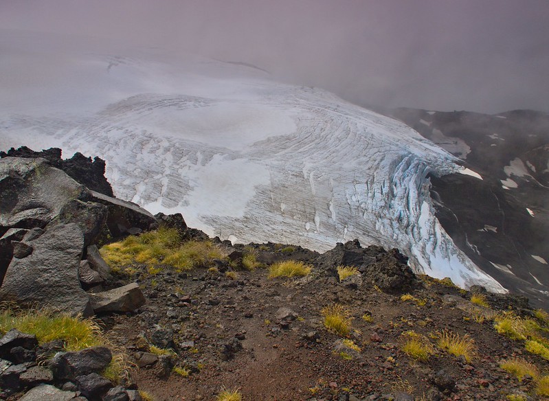PN Nahuel Huapi. Cerro Tronador - Bariloche: Caminata al refugio Otto Meiling - Por la Patagonia ARGENTINA (15)