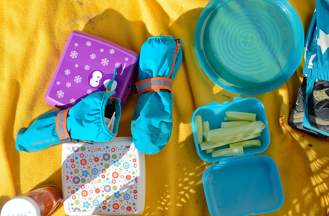 Colorful picnic
