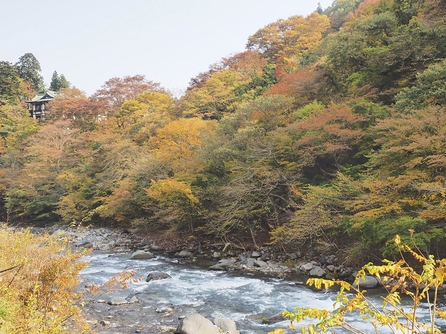 Konichiwa Japón: nuestro segundo viaje - Página 2 24183221182_ee2d5a34b7_z