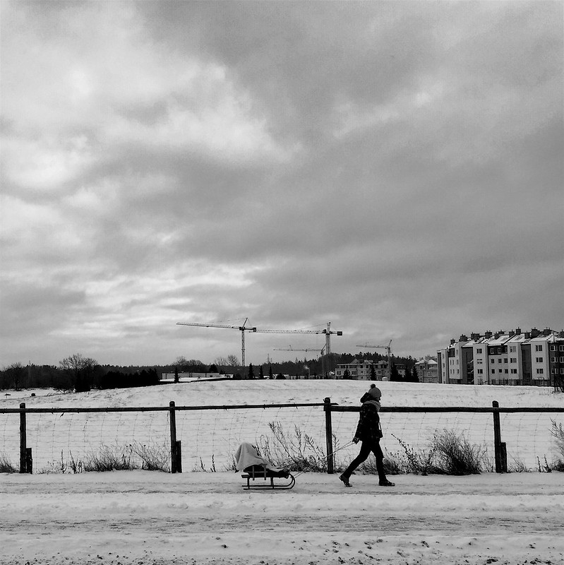 Winter Strollers - Gdynia 20 January 2016 ( IPhone 6+ )