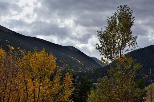 trees mountains nature colorado unitedstates overcast georgetown evergreen aspen day5 yellowleaves hillsides transmissiontower transmissionlines project365 parkinglotview colorefexpro mountainsindistance nikond800e mountainsoffindistance capturenx2edited lookingssw hillsideoftrees
