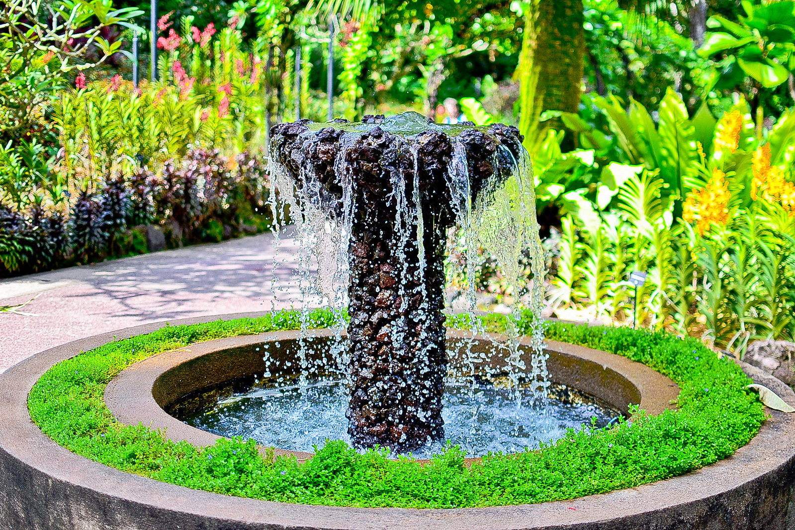 Singapore Botanic Gardens 2016