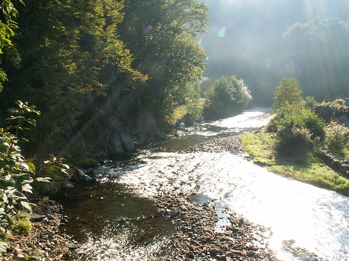 nature river europa europe poland polska natura rzeka lowersilesian publiczne wałbrzyski dolnośląskie zagórześląskie kynau nadbystrzycą