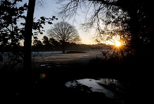 morning winter sun cold nature sunrise golf landscape frost surrey common walton