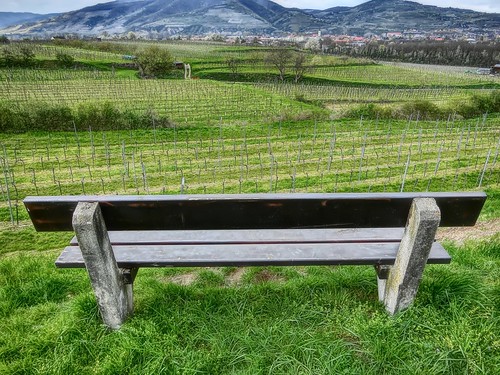 austria österreich spring europa europe walk eu casio april niederösterreich hdr wachau frühling spaziergang 2016 loweraustria mautern wachauvalley