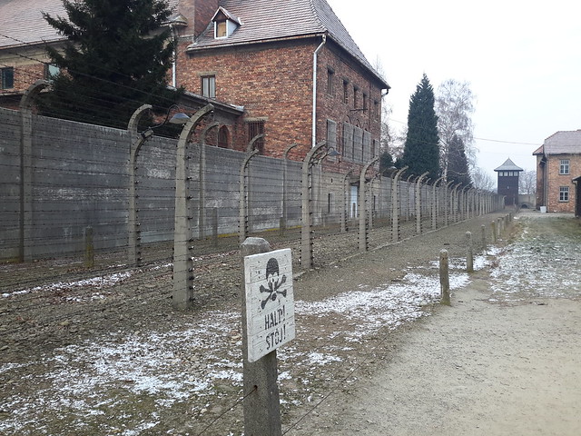 4 días en Varsovia y Cracovia,  con temperaturas bajo cero - Blogs de Polonia - Campo de concentración de Auschwitz y Minas de Sal de Weliczka (5)