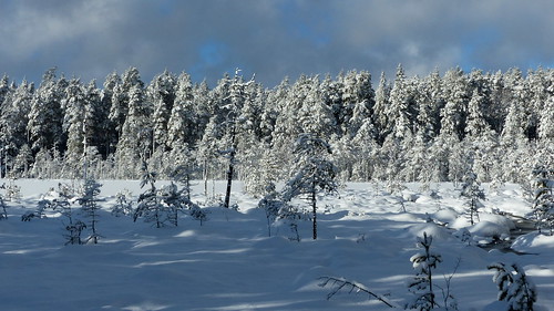 winter sky snow espoo finland geotagged nationalpark february fin nuuksio 2016 uusimaa nyland noux esbo käkilampi nuuksionationalpark nuuksionkansallispuisto 201602 20160213 geo:lat=6029992323 geo:lon=2457852960