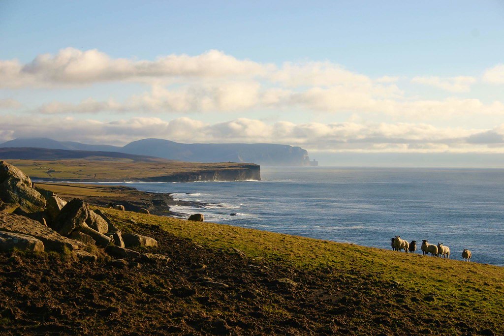 West coast of Orkney