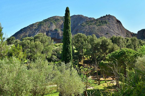 laciotat provence france côtedazur paysage nature cyprès pins oliviers arbres rocher parc mugel extérieur d7100 24mmf18g pantchoa françoisdenodrest