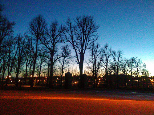 trees winter sunset cemetery linden dalarna falun lind solnedgång kyrkogård bergslagen barmark norslund
