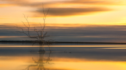 panorama pelican sel55f18z sonya7ii sunset deadgumtree ghost gum lake orange reflection