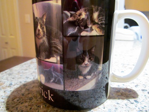 Cats on a mug