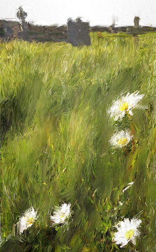 Daisies in the cemetery by the beach painted in Psyko Paint