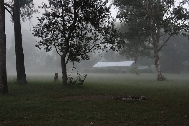 Misty morning