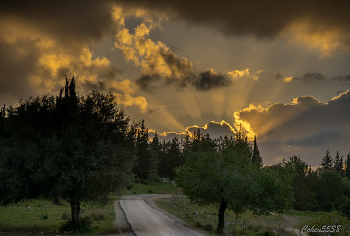 park sunset canada dawn israel twilight outdoor sony ישראל a7 ayalon latrun פארק שקיעה לטרון קנדה איילון 55385538 cohen5538 ayyalon