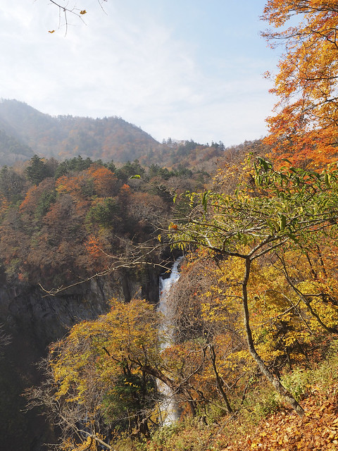 Konichiwa Japón: nuestro segundo viaje - Página 2 23663214534_b449d8a25d_z