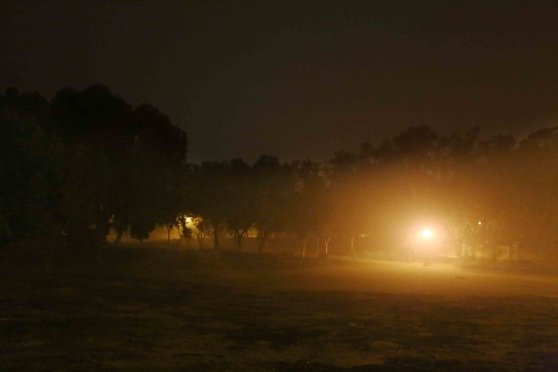 100 Things to Do Before You Quit Delhi – Night Walk, Lodhi Gardens