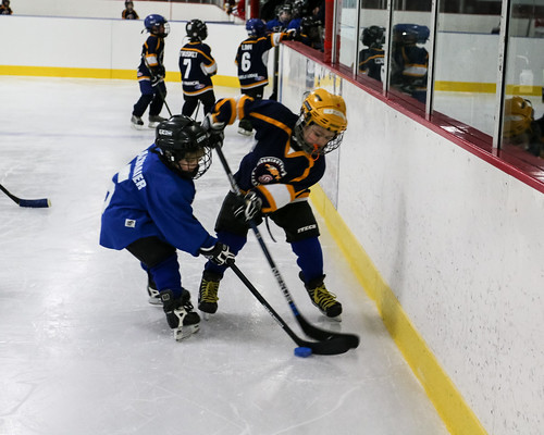 ice sports hockey minnesota kids arena