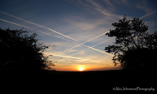 sky sun tree silhouette clouds sunrise canon landscape scotland hedge northberwick 6d eastlothian vapourtrails canon24105mmf4l alanjohnstone
