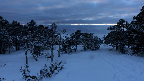 winter snow forest finland geotagged twilight frost january bluehour fin 2016 uusimaa porkala nyland kirkkonummi porkkala kyrkslätt porkkalanniemi 201601 fz200 porkalaudd 20160123 geo:lat=5997063052 geo:lon=2439437483