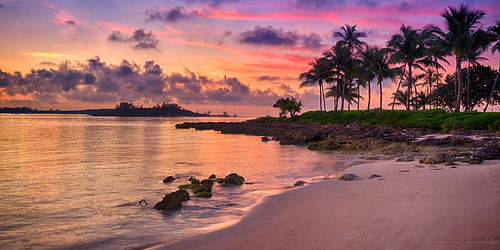 sunset beach water sunrise palmtrees bahamas