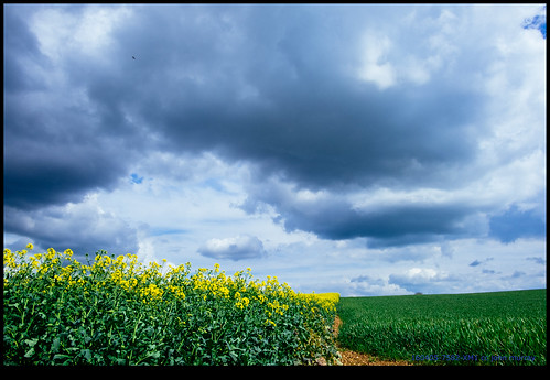 sky france clouds fields eurotrip fr barro rapeseed 2016 aquitainelimousinpoitoucharentes aquitainelimousinpoitoucharen