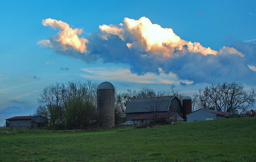 sunset green field lansing farms deltatownship cloudsstormssunsetssunrises marquartdairyfarm