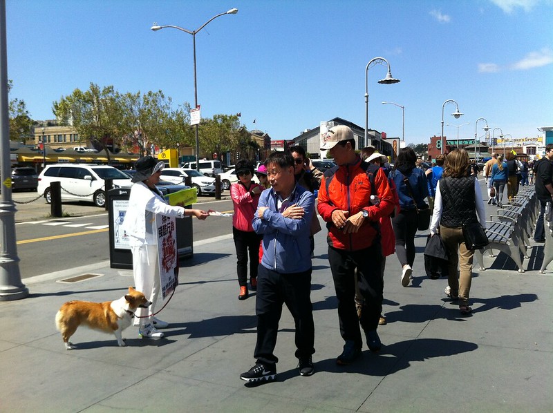 Leafleting and Informational Event on South Korean Dog Meat Trade – April 24, 2016 – San Francisco, Fisherman’s Wharf