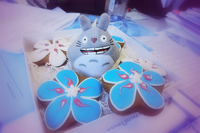 Day #70: totoro received cookies