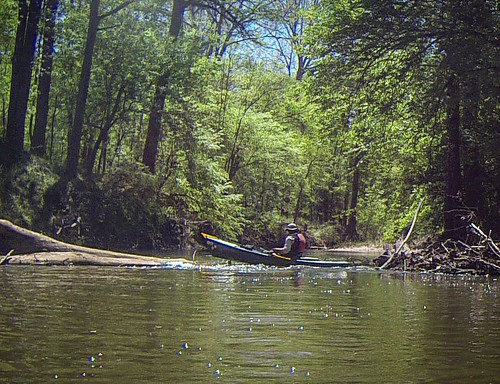 us unitedstates southcarolina kayaking paddling parksville modoc turkeycreek plumbranch stevenscreek lowcountryunfiltered churchofthedoublebladedpaddle