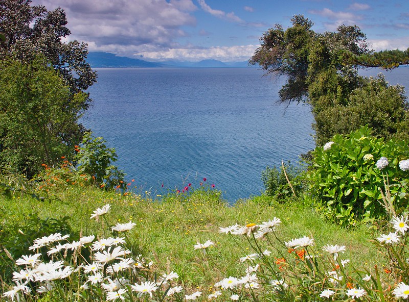 Por el sur del mundo. CHILE - Blogs de Chile - Despedida bordeando el lago Llanquihue (feb-2014) (9)